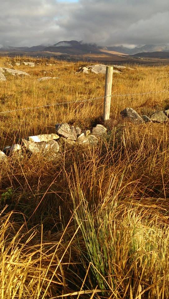 Connemara view