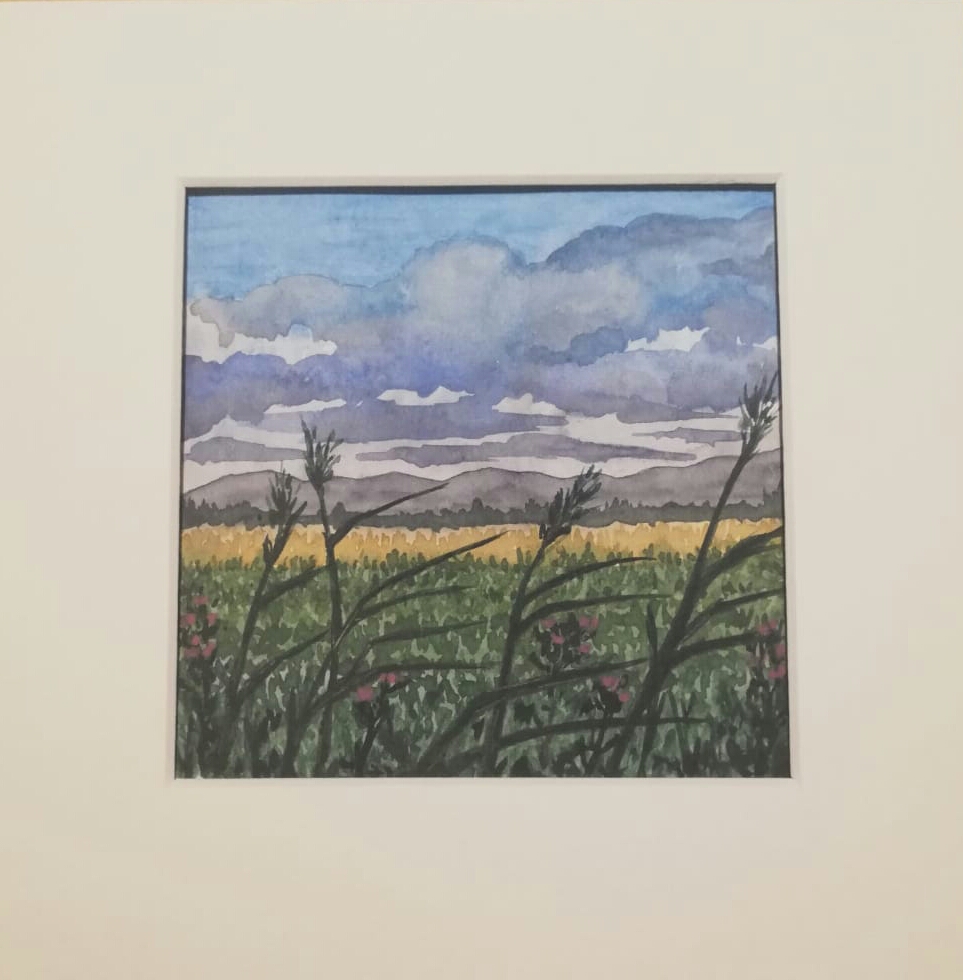 <q>12 Pins</q> - 2019 watercolour & pen<br>12cm X 12cm<br>External mounted dimensions 20cm X 20cm