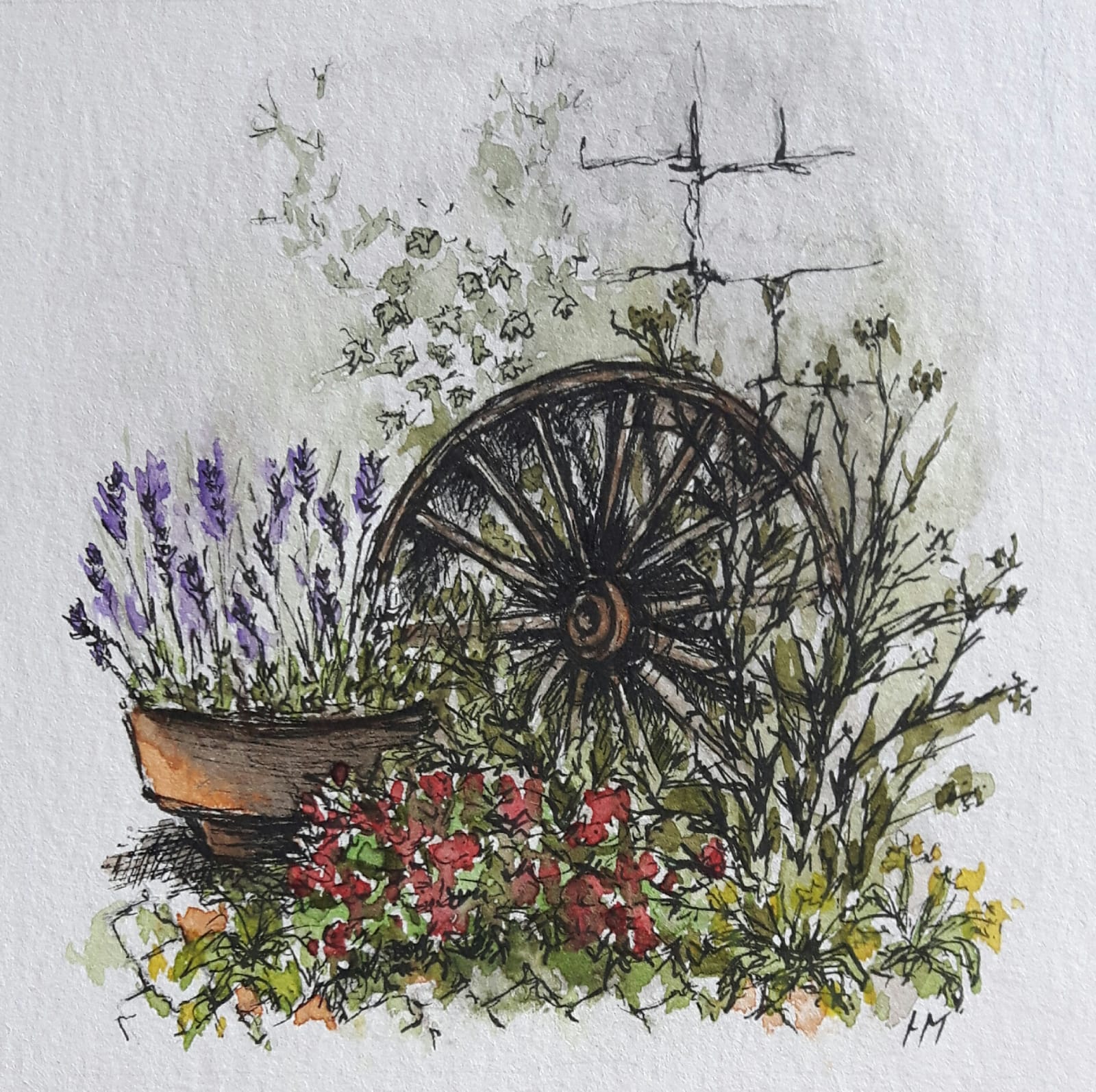 <q>French Lavendar</q> - 2019 pen & wash