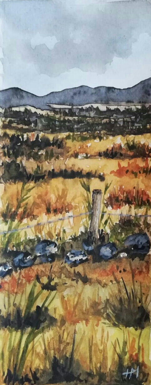 Connemara View<br>13.5cm X 25.5